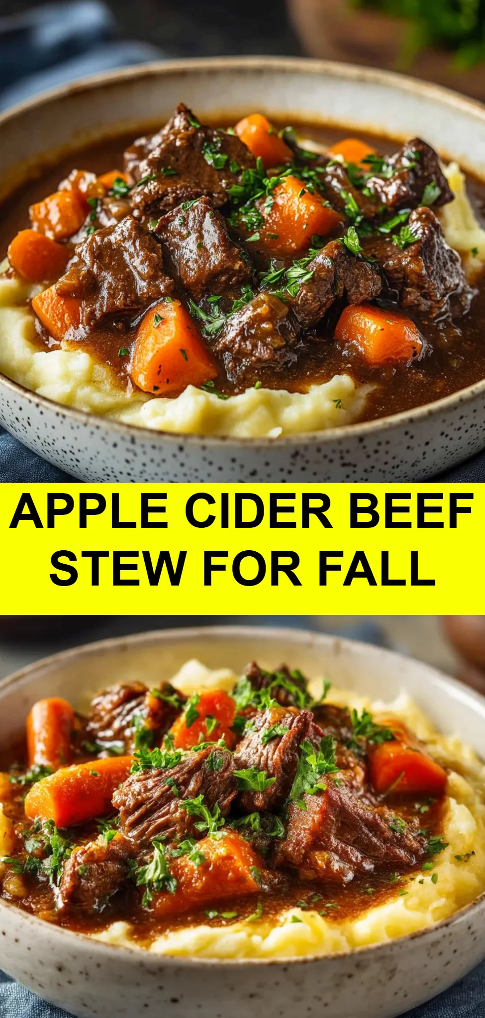 Apple Cider Beef Stew for Fall