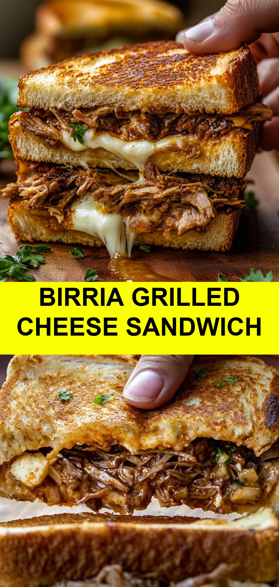 Birria Grilled Cheese Sandwich