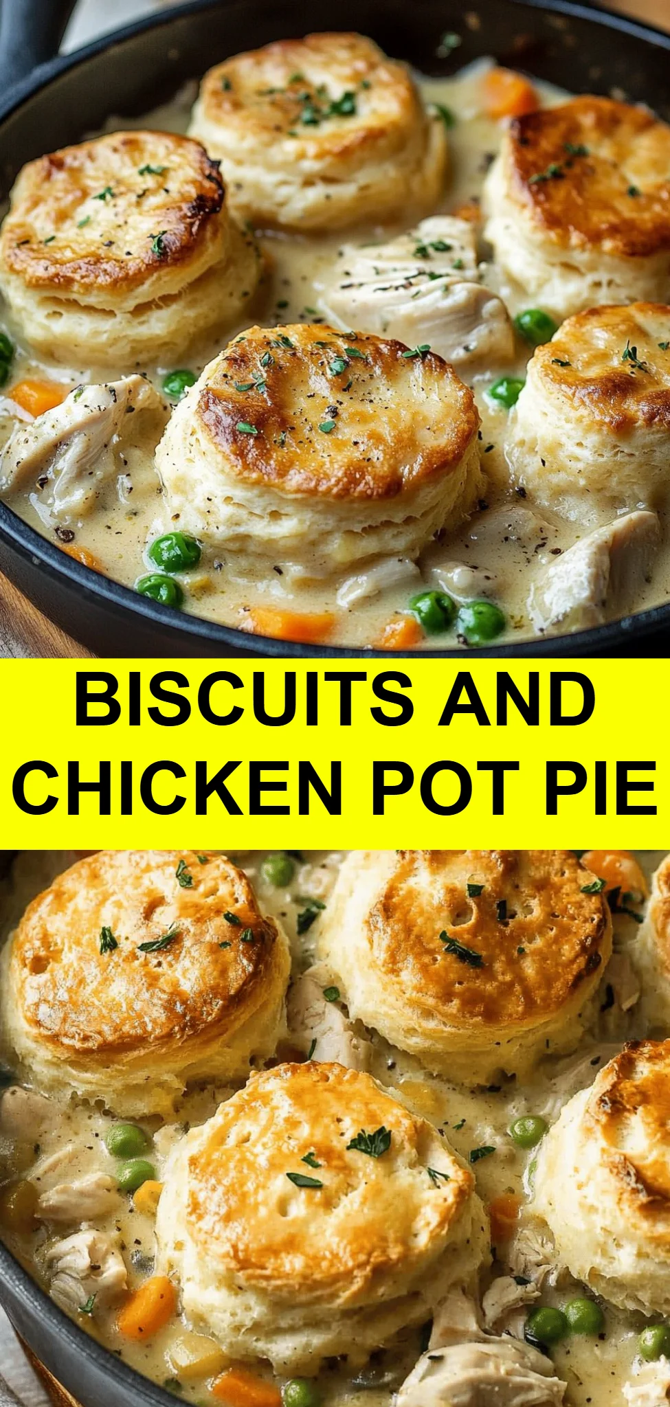 Biscuits and Chicken Pot Pie