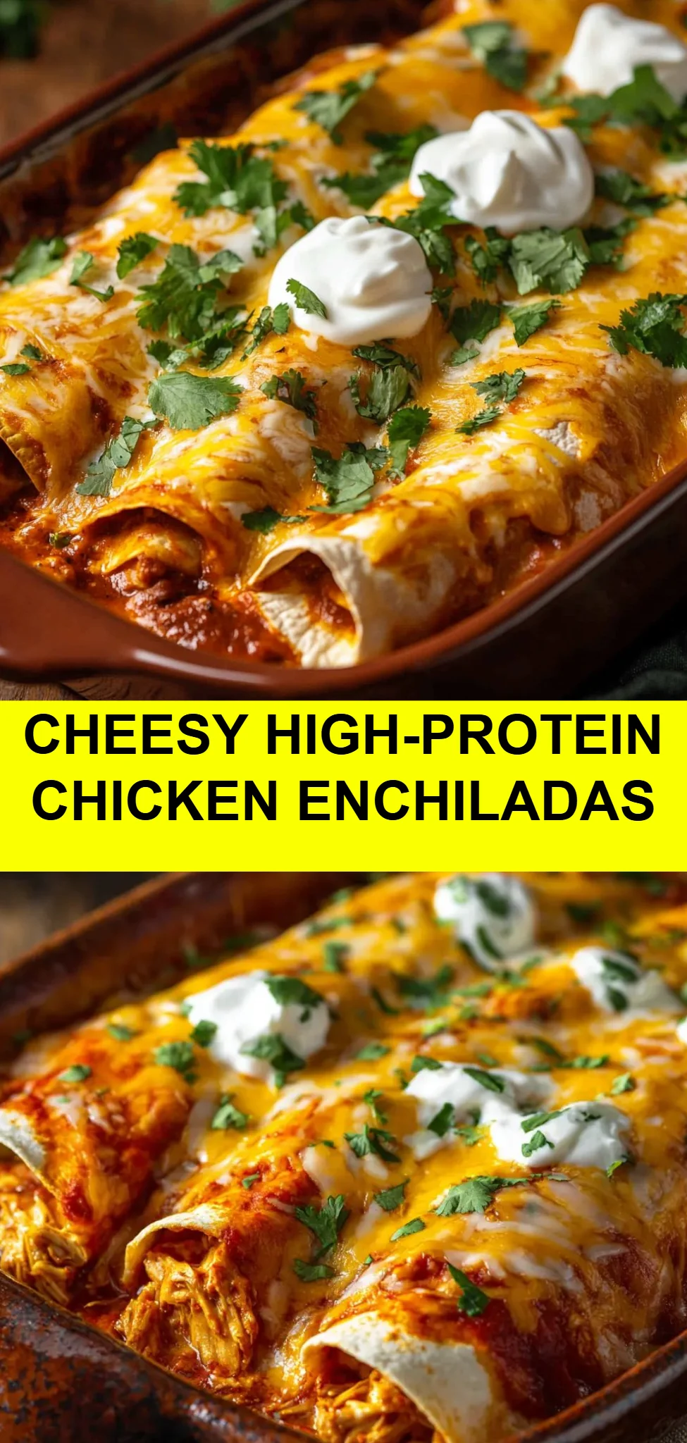 Cheesy High-Protein Chicken Enchiladas