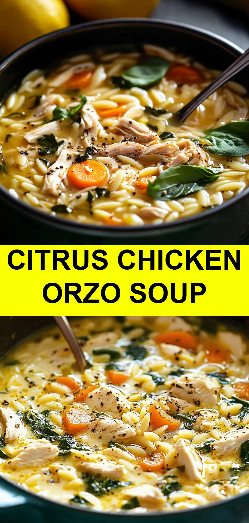 Citrus Chicken Orzo Soup