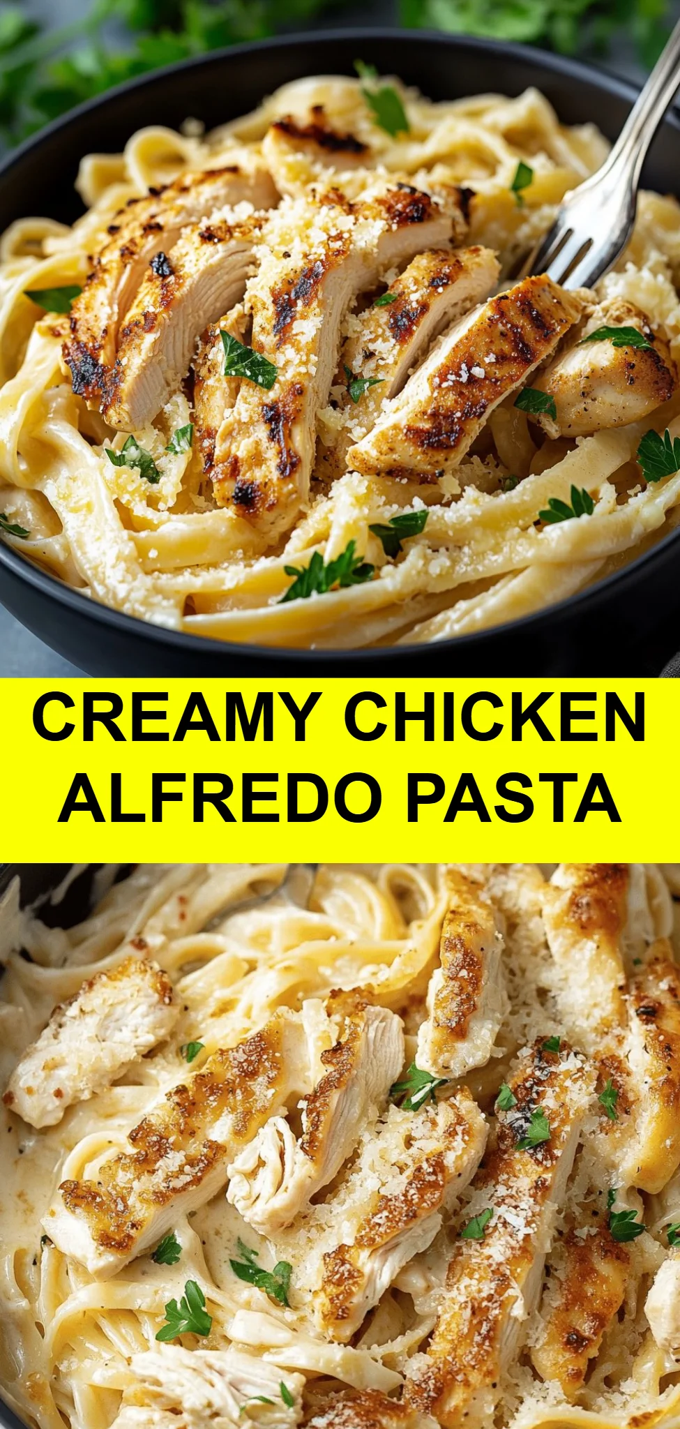 Creamy Chicken Alfredo Pasta