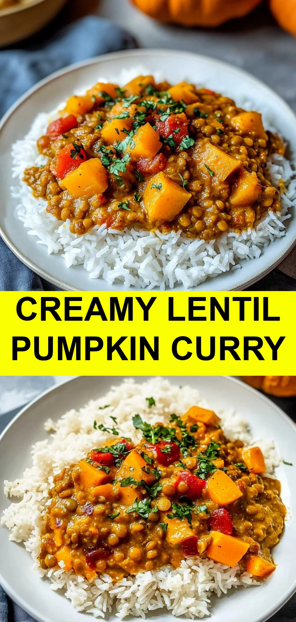 Creamy Lentil Pumpkin Curry