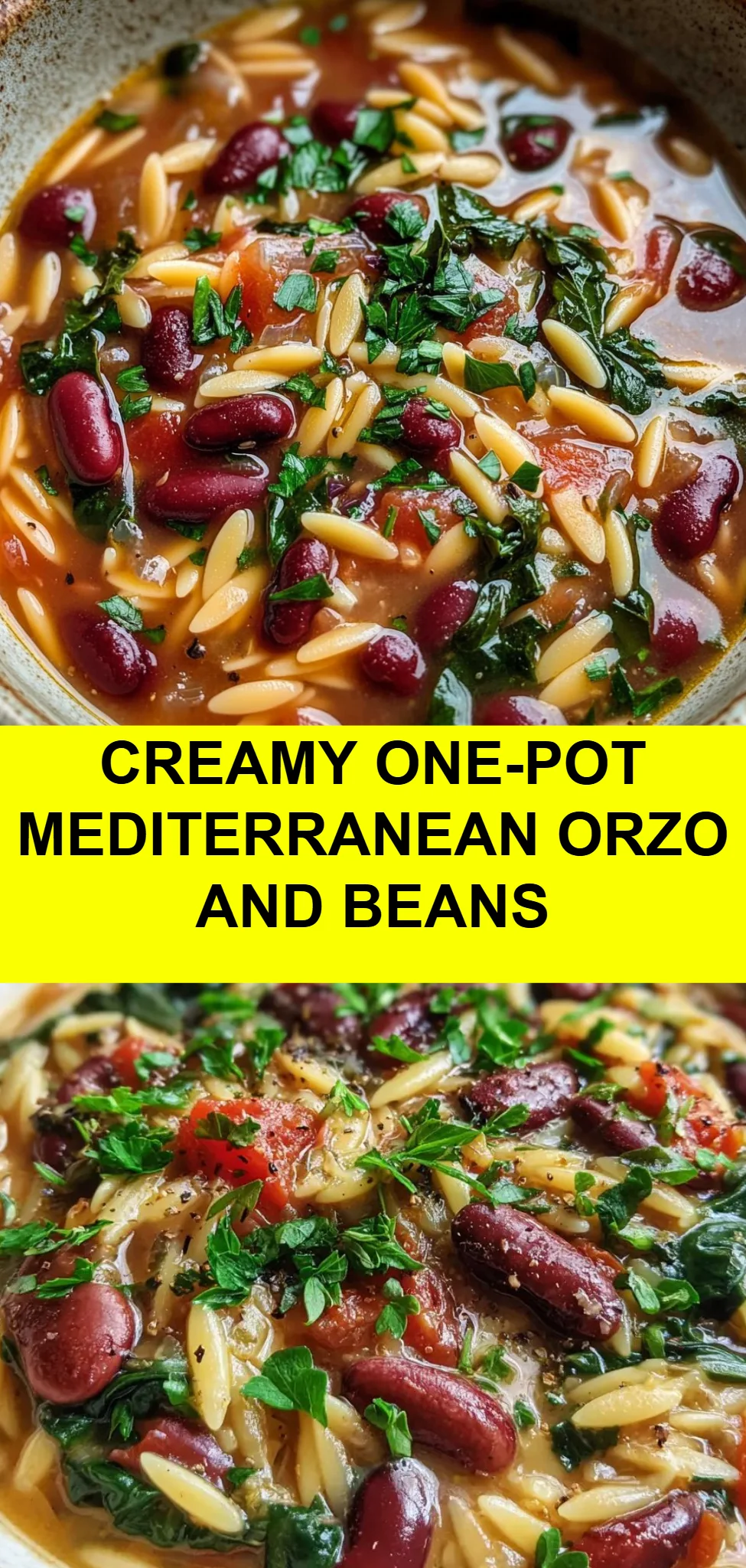 Creamy One-Pot Mediterranean Orzo and Beans