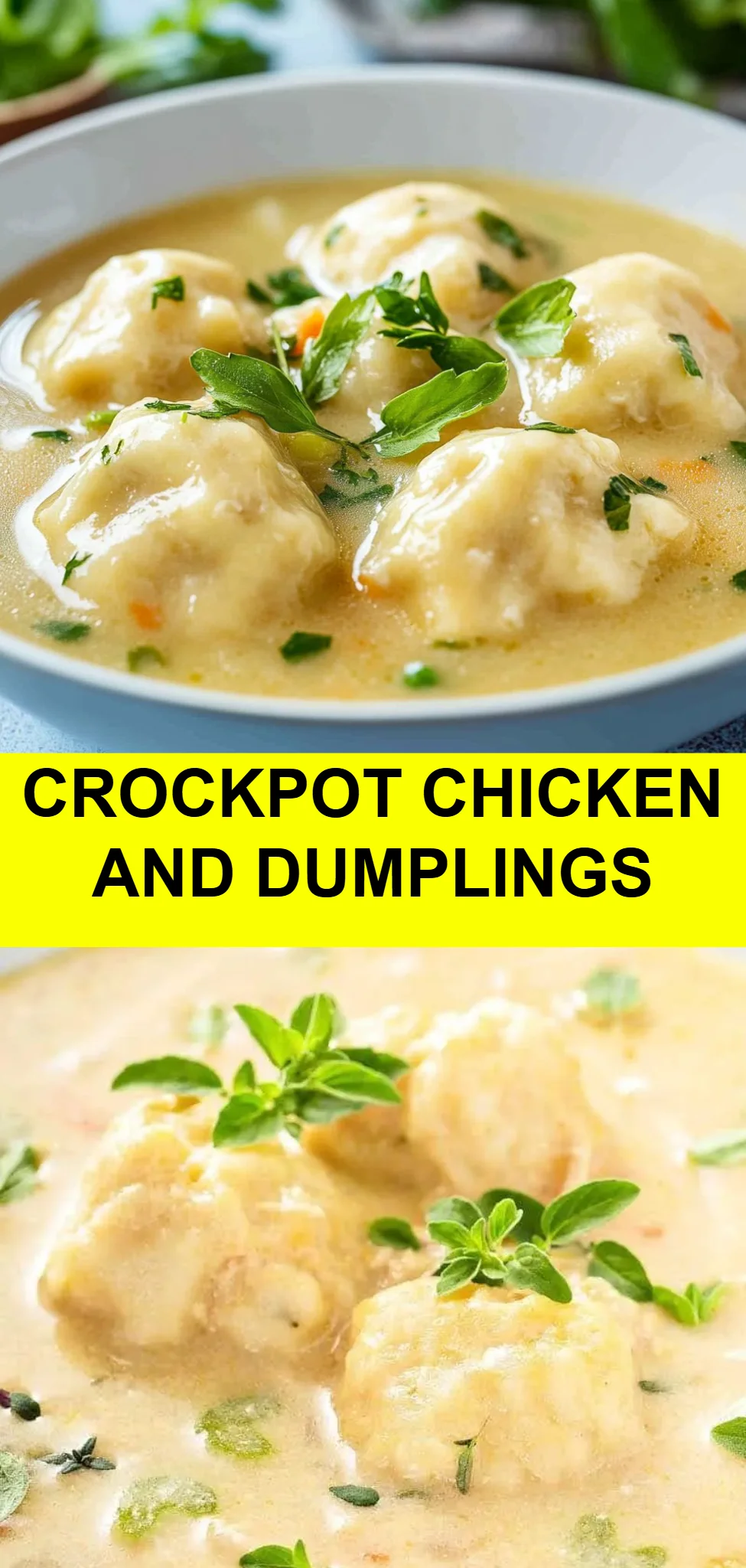 Crockpot Chicken and Dumplings