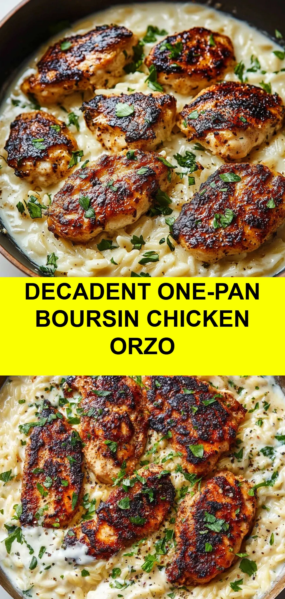 Decadent One-Pan Boursin Chicken Orzo