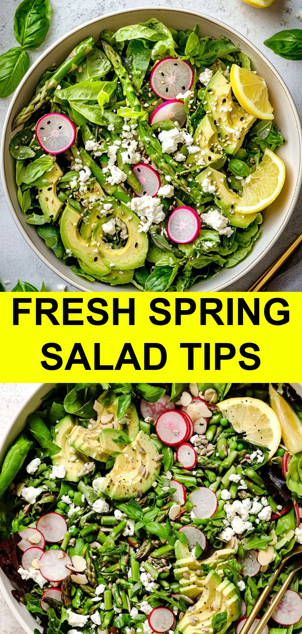 Fresh Spring Salad Tips