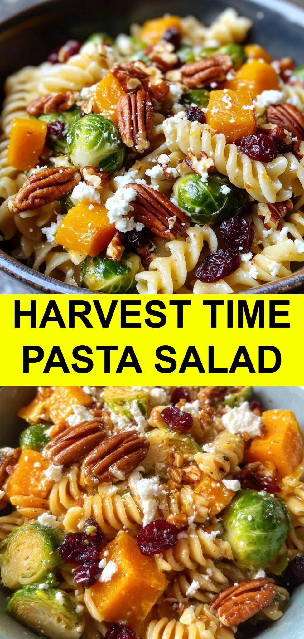Harvest Time Pasta Salad