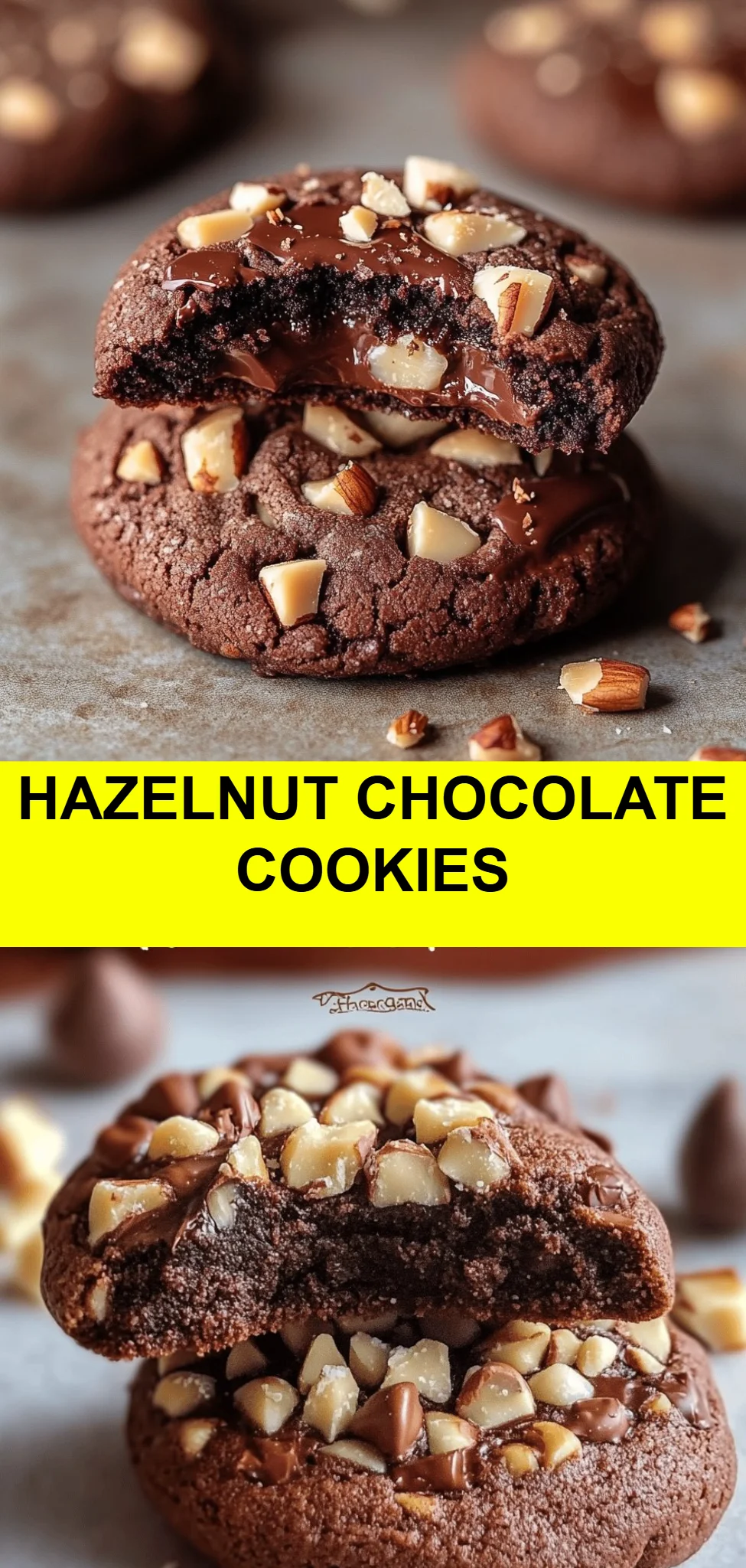 Hazelnut Chocolate Cookies