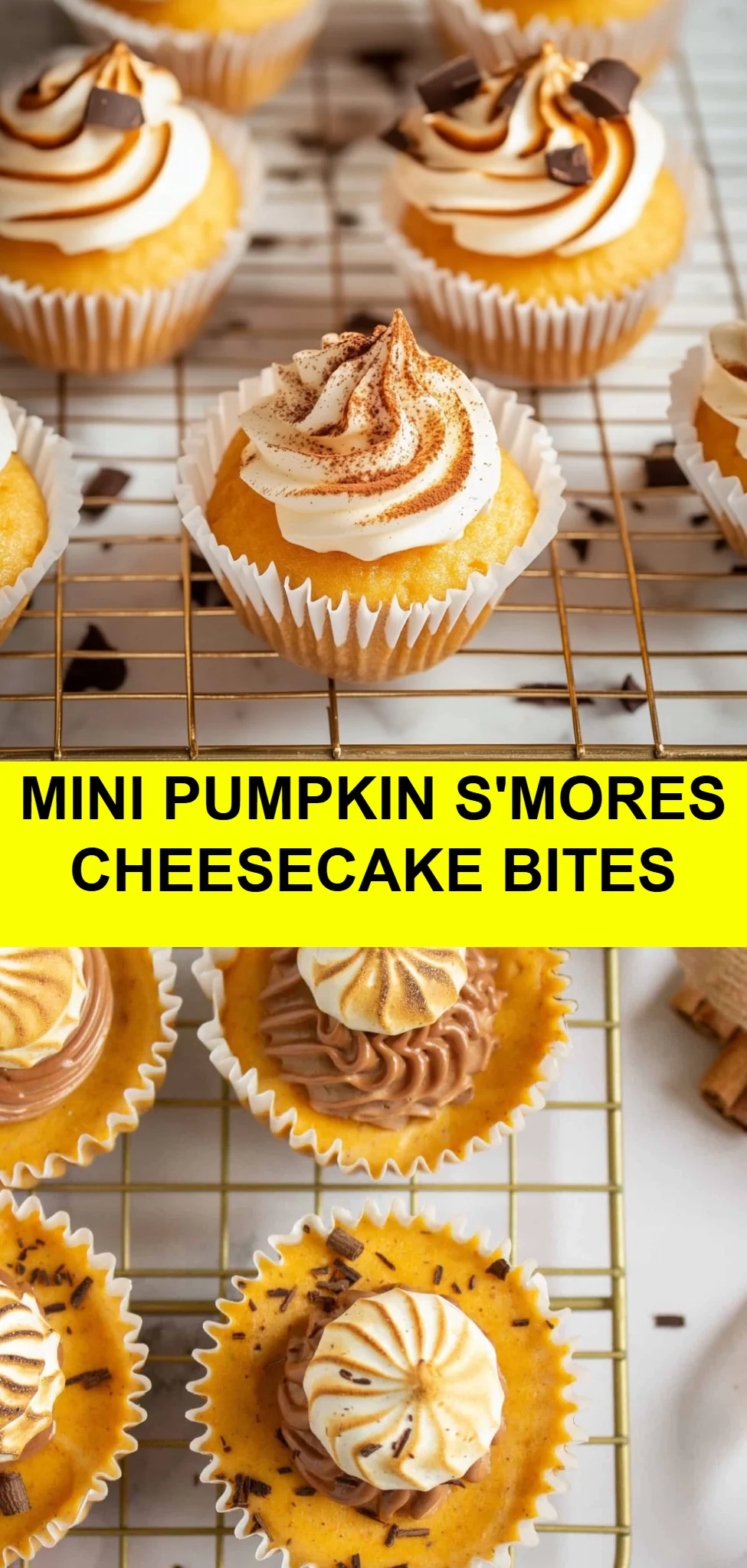 Mini Pumpkin S'mores Cheesecake Bites