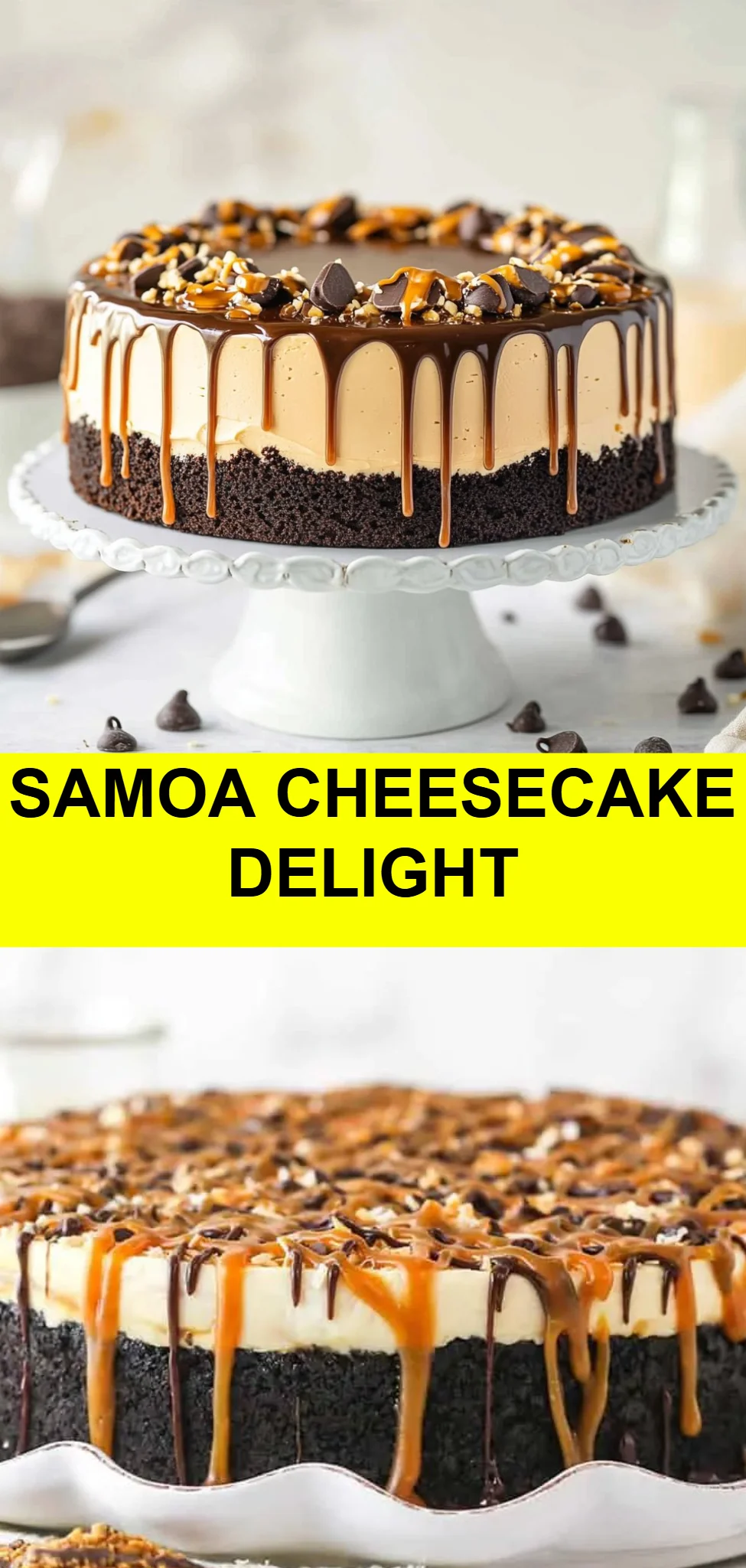 Samoa Cheesecake Delight